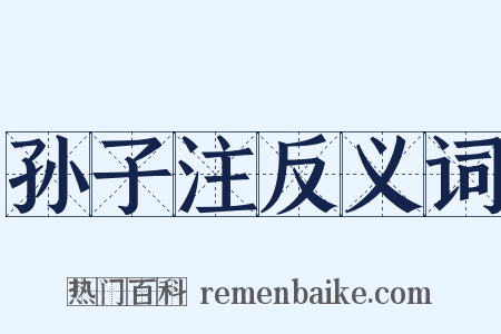 孙子注反义词是什么意思的图片